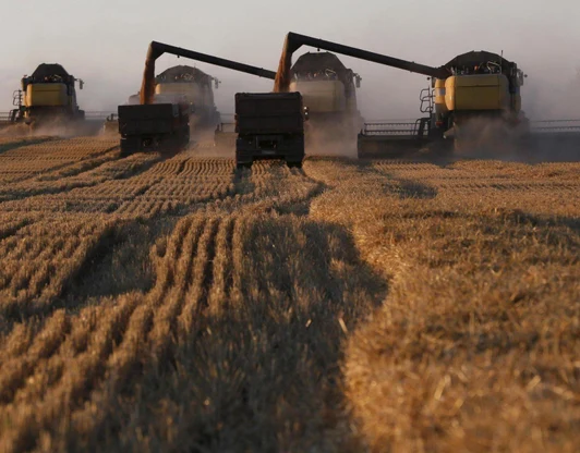 Агроконсалтинг и сопровождение сельхозпроизводителей.